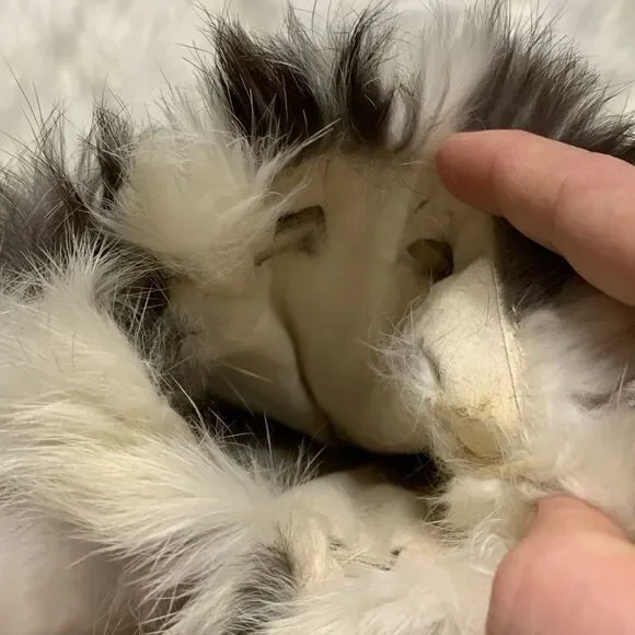 Rare Rabbit Fur / Angora Purse / Backpack