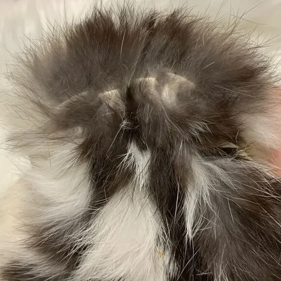 Rare Rabbit Fur / Angora Purse / Backpack