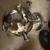vintage-silverplate-bottom-view-ornate-feet.jpg Bottom view of the vintage silverplated sugar bowl showing ornate feet and underside condition.